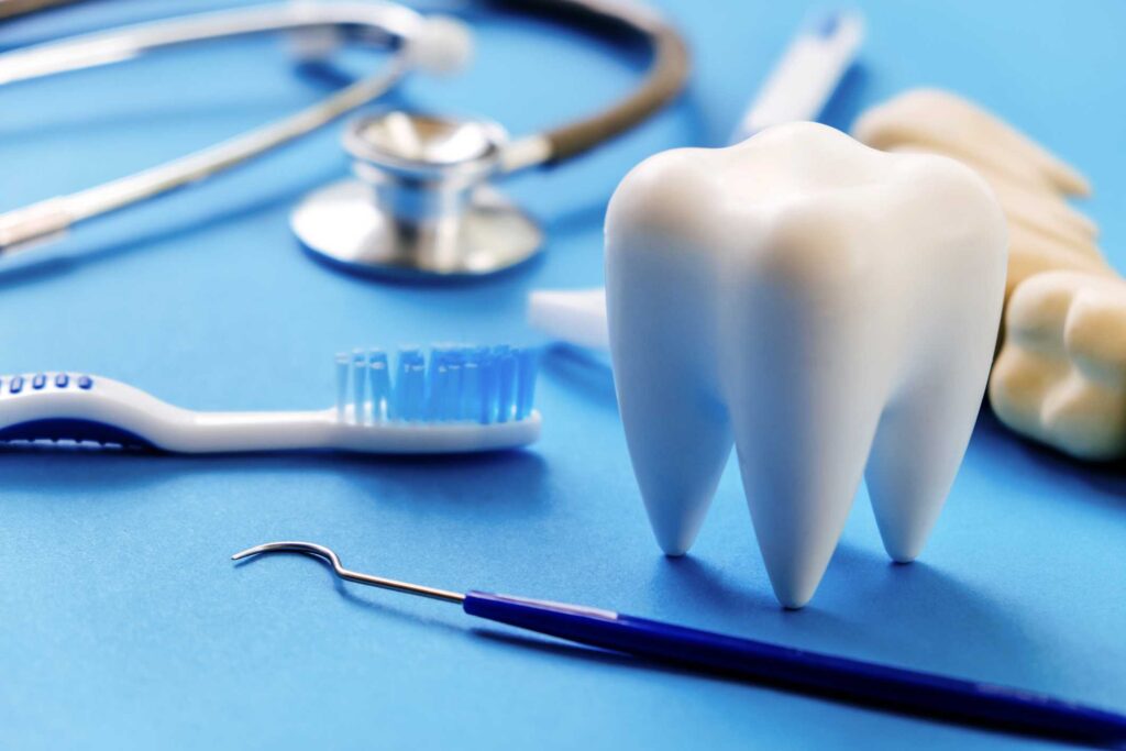 Dental hygiene tools and tooth model for oral health care in Parker, CO